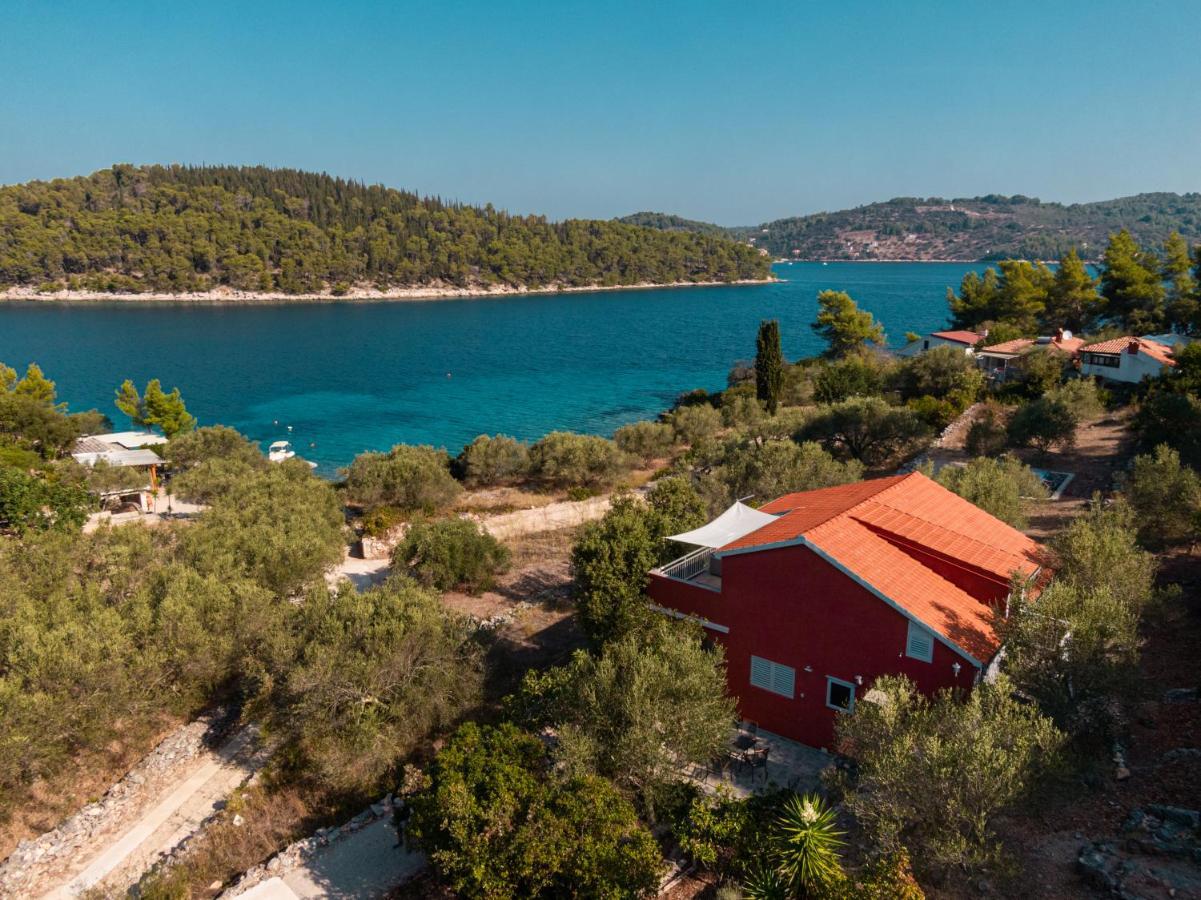 House Rosa - Holiday Home70 Metres Away From Picena Beach Vela Luka Luaran gambar